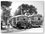 1973 - Capolinea in piazza della Repubblica per Rosignano M. e Aniene.