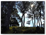 Parte del parco