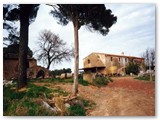 La casa del podere: casa alla Selvaggia
