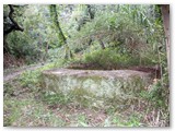 Rosignano M. - Fortino tedesco per artiglieria vicino al fiume Fine sotto la strada del Saracino.(Arch. L. Luperini)