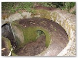 Rosignano M. - Fortino tedesco per artiglieria vicino al fiume Fine sotto la strada del Saracino.(Arch. L. Luperini)