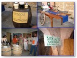 Festa del vino 2005