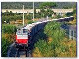 Il convoglio carico attende fuori dalla stazione di S. Vincenzo, il via libera per occupare i binari riservati nello scalo FS. (Foto Alb)