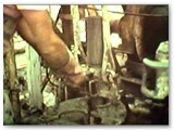 1977 - Smontaggio dei tubi estratti dal terreno