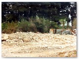 Anni '90 - Demolizione del villaggio Aniene da parte della ditta Co.ge.mar.- Arch. G. Luppichini.