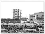 1963 - Spiaggia libera e 'mare di scoglio'