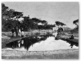 1914 - Pietrabianca e fosso delle Saracine all'arrivo sulla battigia. Sullo sfondo il ponte. (Arch.P.Pagnini)