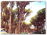 Camping il Tirreno