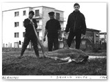 1966 - Squalo volpe