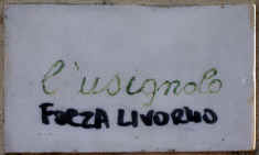 usignolo.jpg (179588 byte)