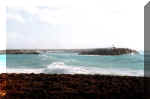 Libeccio_porto.jpg (21462 byte)