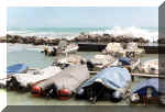 mare1.jpg (35052 byte)