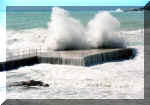mare.jpg (32689 byte)