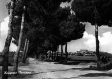 1945-via-per-Rosignano.jpg (36646 byte)