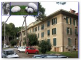 L'ex Ospedale Solvay dal 1923 al 1972, poi Presidio Sanitario fino al 1998. Oggi è Centro Socio Sanitario Bassa Val di Cecina